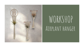 Airplant Hanger(s) €26,50 pp / €32 pp