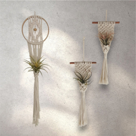 Airplant Hanger(s) €26,50 pp / €32 pp