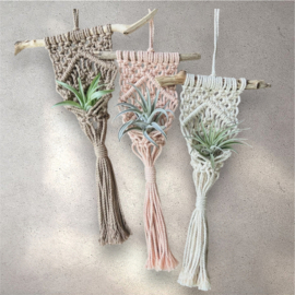 Airplant Hanger(s) €26,50 pp / €32 pp