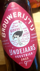 't IJ - IJndejaarsbier 2023 - Kruidig &  Verwarmend 9% 33cl