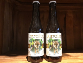 Lupulus Tripel Bier  8,5% 33cl