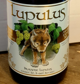 Lupulus Ardens Tripel Bier  8,5% 75cl