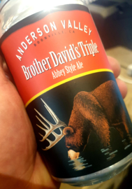 Anderson Valley Brother David's Triple 10% 35cl