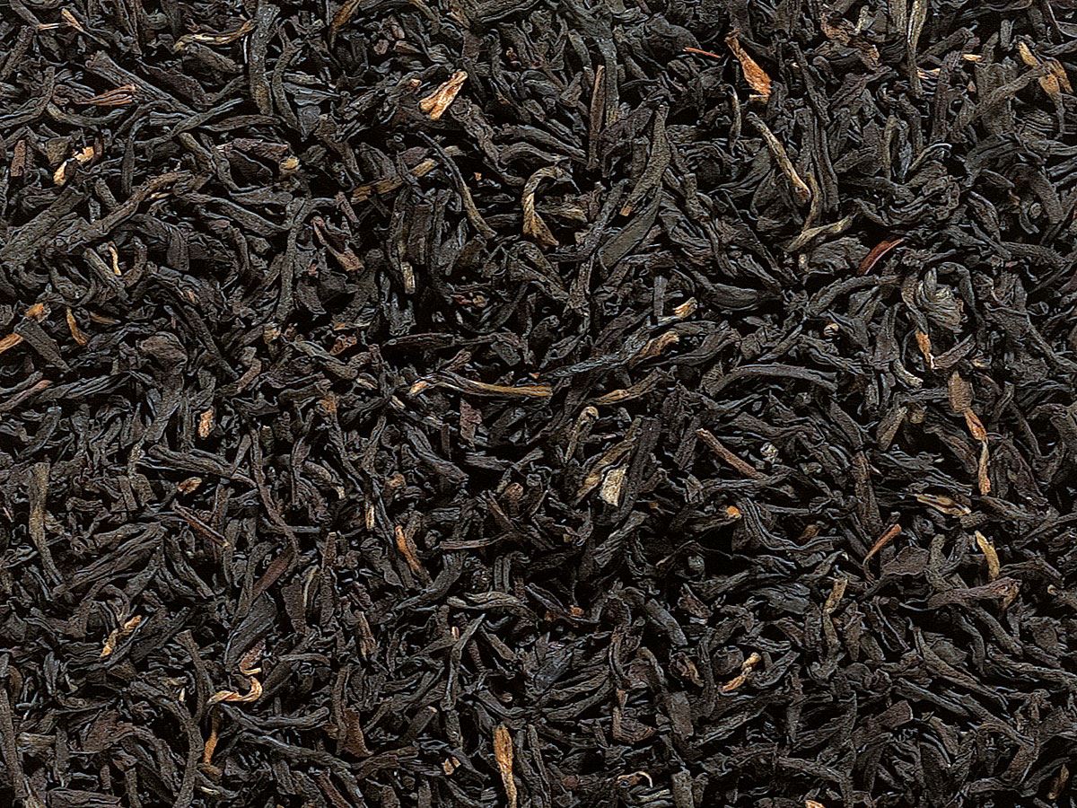 Misty Assam Leaves