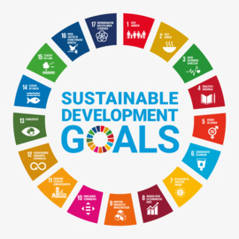 Social Development Goals