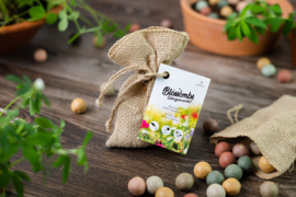 Blossombs Jute gift bag (with 5 seed bombs)