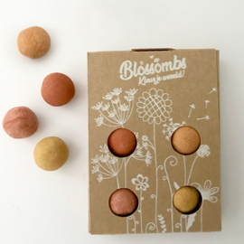 Blossombs gift box with 4 seed bombs