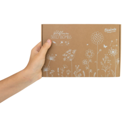 Blossombs Geschenkkarton groß (mit 9 Samenbomben & Sackleinwand)
