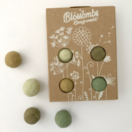 Blossombs gift box with 4 seed bombs