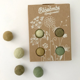 Blossombs - Mini giftbox 4 stuks