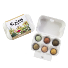 Blossombs - Egg box