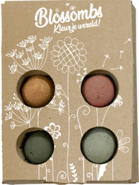 Blossombs gift box with 4 seed bombs