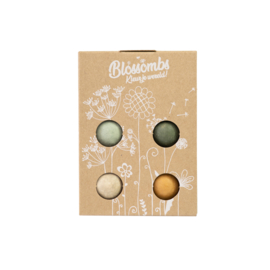 Blossombs - Mini giftbox 4 stuks