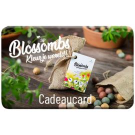 Giftcard Blossombs