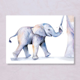 Postkaart Baby Olifant, Zintenz