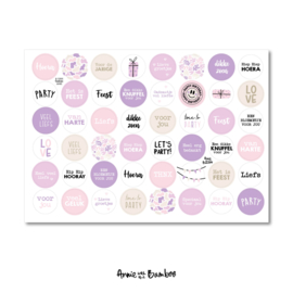 Stickervel cadeaustickers Lila / Roze - per 5 stuks