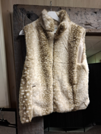 Bodywarmer bambie