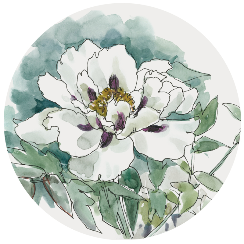 WATERCOLOR FLOWER White