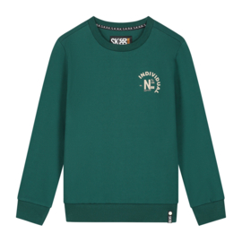 SKURK - Sweater met print Subbe - groen