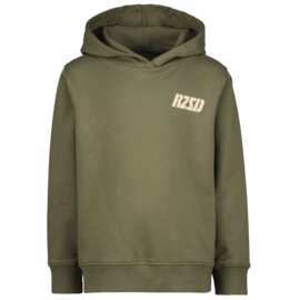 RAIZZED - Hoodie Nulato met backprint - army green