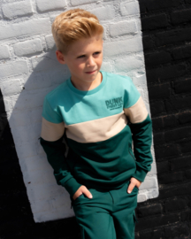 SKURK - Sweater Sjoerd - Colourblock groen