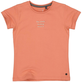 Levv - T-shirt DANIEK - Peach Apricot