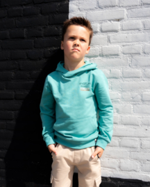 SKURK - Hoodie met print Sunnery - groen