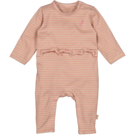 B.E.S.S. - Boxpak Striped - Dessin