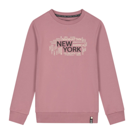SKURK - Sweater met print San - Roze