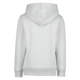 RAIZZED - Sweater Newfield - Pearl grey