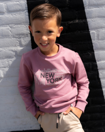 SKURK - Sweater met print San - Roze