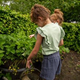 Koko Noko - T-shirt met ruffles en broderie - Zachtgroen