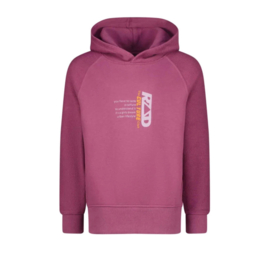 RAIZZED - Sweater Valencia - Forest Purple