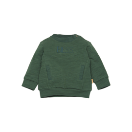 BESS - Sweater BESS - groen