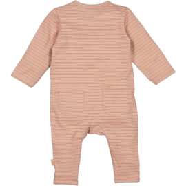 B.E.S.S. - Boxpak Striped - Dessin
