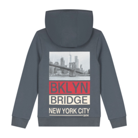 SKURK - Hoodie Sek met fotoprint en subtiele borstprint - Grijs