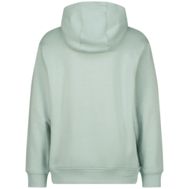 RAIZZED - Hoodie Nuevo - Grey mist