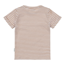 Dirkje - T-shirt R-HIDE AND SEEK - Brown