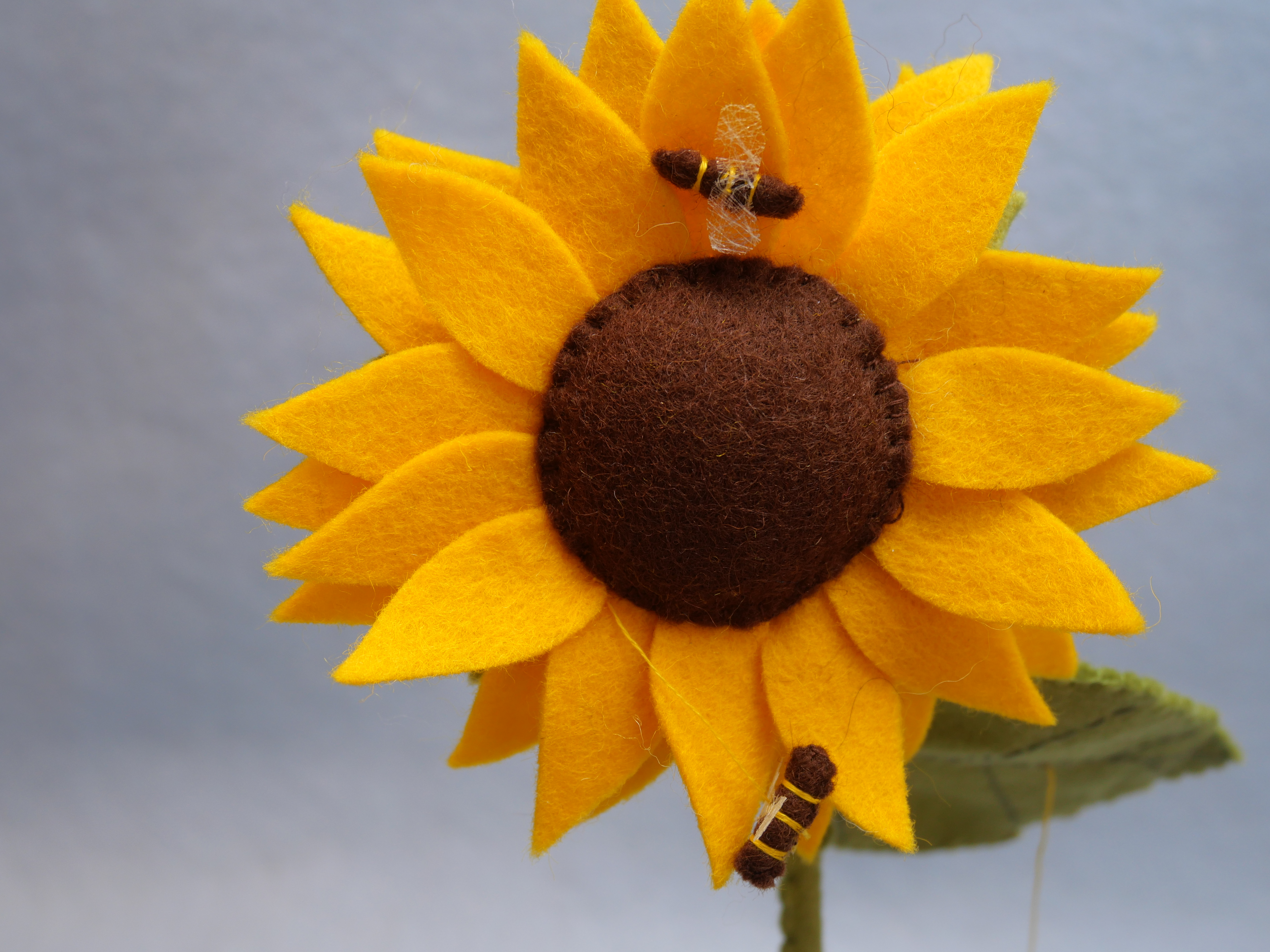 Beijenkorf met twee kinderen en zonnebloem