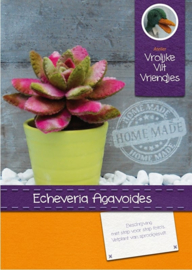 Echeveria Agavoides