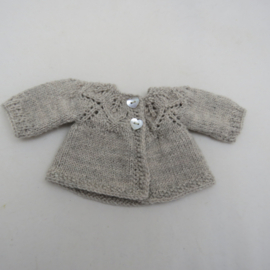 PDF Breipatroon, Vestje en mutsje met bladmotief