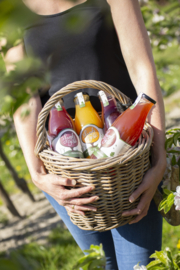 BIO Appel-Mango 750 ml