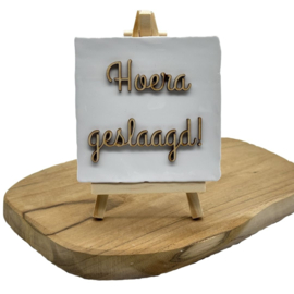 Hoera geslaagd!