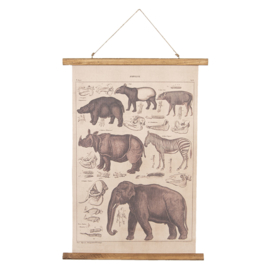 Wandkaart dieren B. 55x70