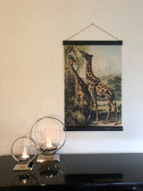 Wandkaart giraffen 40x60