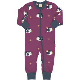 Rompersuit Zipper Hedgehog | Maxomorra