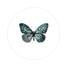 Muurcirkel - Butterfly