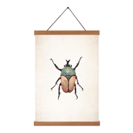 Poster A5 - Beetle Brown