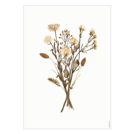 Droogbloemen poster - Dried roses