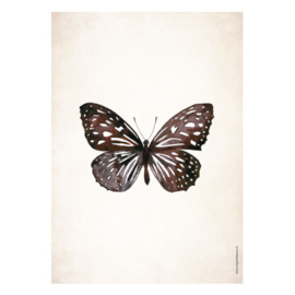 Poster A5 - Butterfly Universe